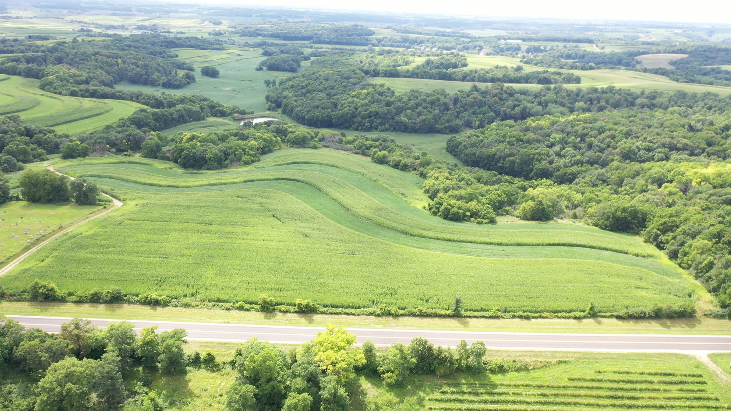 Property photo 5 - LAND FOR SALE - GRANT COUNTY, WI - 99 ACRES - EXCELLENT ALL-AROUND PROPERTY FOR HUNTING AND FARMING - OFFER PENDING