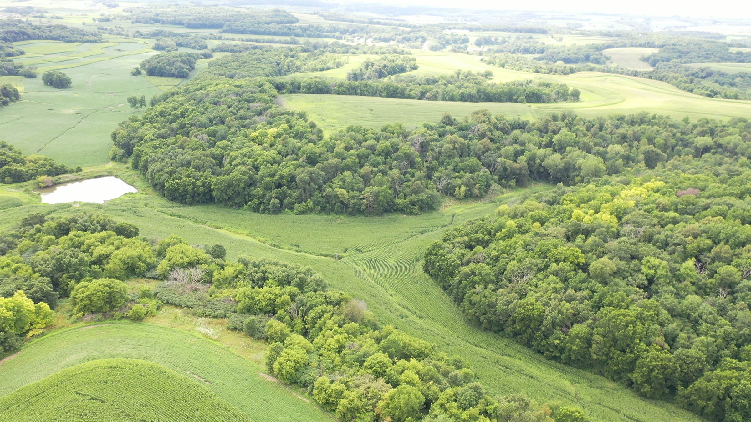 Property photo 4 - LAND FOR SALE - GRANT COUNTY, WI - 99 ACRES - EXCELLENT ALL-AROUND PROPERTY FOR HUNTING AND FARMING - OFFER PENDING