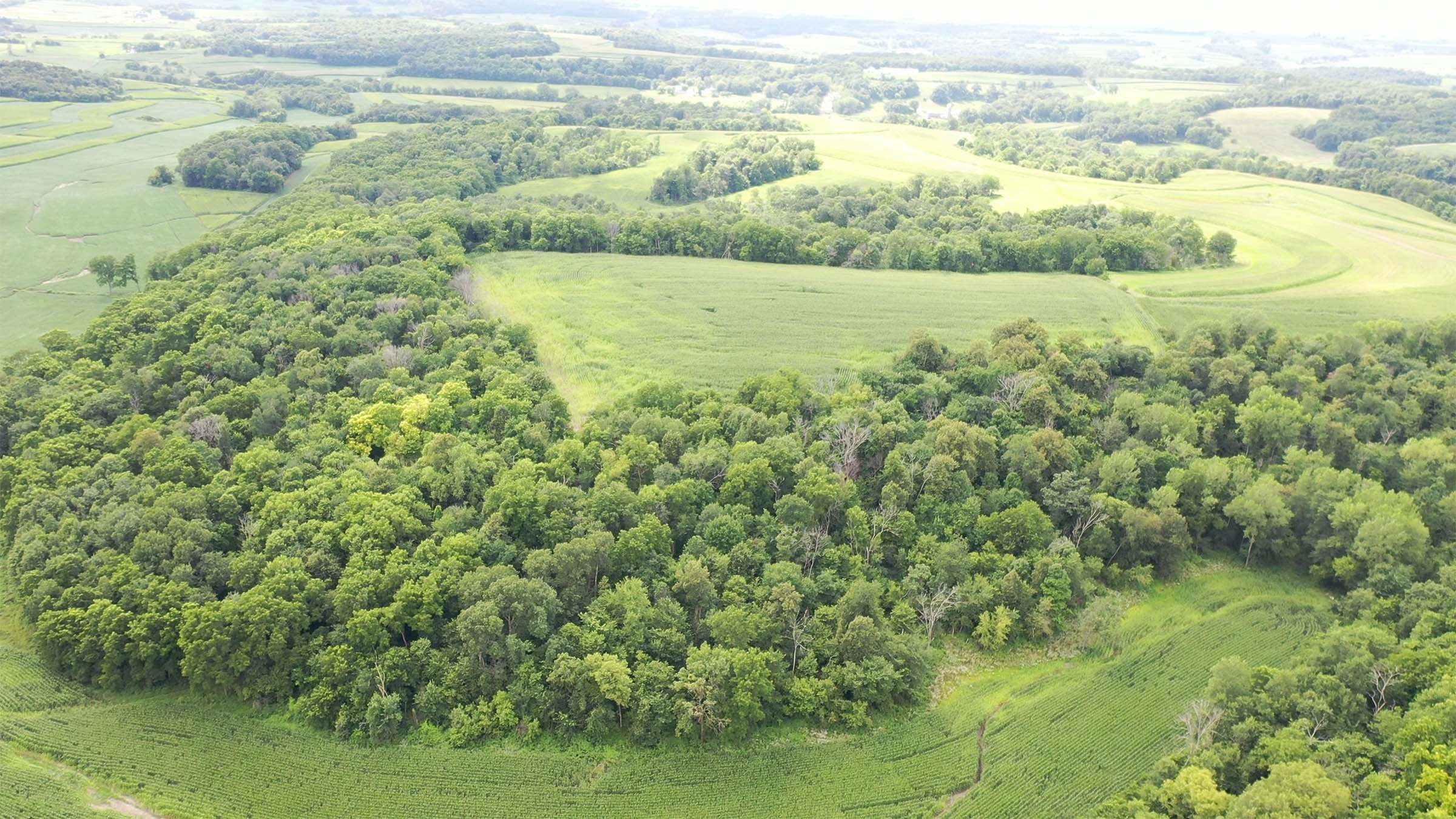 Property photo 3 - LAND FOR SALE - GRANT COUNTY, WI - 99 ACRES - EXCELLENT ALL-AROUND PROPERTY FOR HUNTING AND FARMING - OFFER PENDING