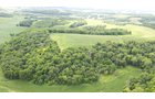 Property photo 3 - LAND FOR SALE - GRANT COUNTY, WI - 99 ACRES - EXCELLENT ALL-AROUND PROPERTY FOR HUNTING AND FARMING - OFFER PENDING