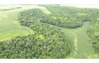 Property photo 2 - LAND FOR SALE - GRANT COUNTY, WI - 99 ACRES - EXCELLENT ALL-AROUND PROPERTY FOR HUNTING AND FARMING - OFFER PENDING