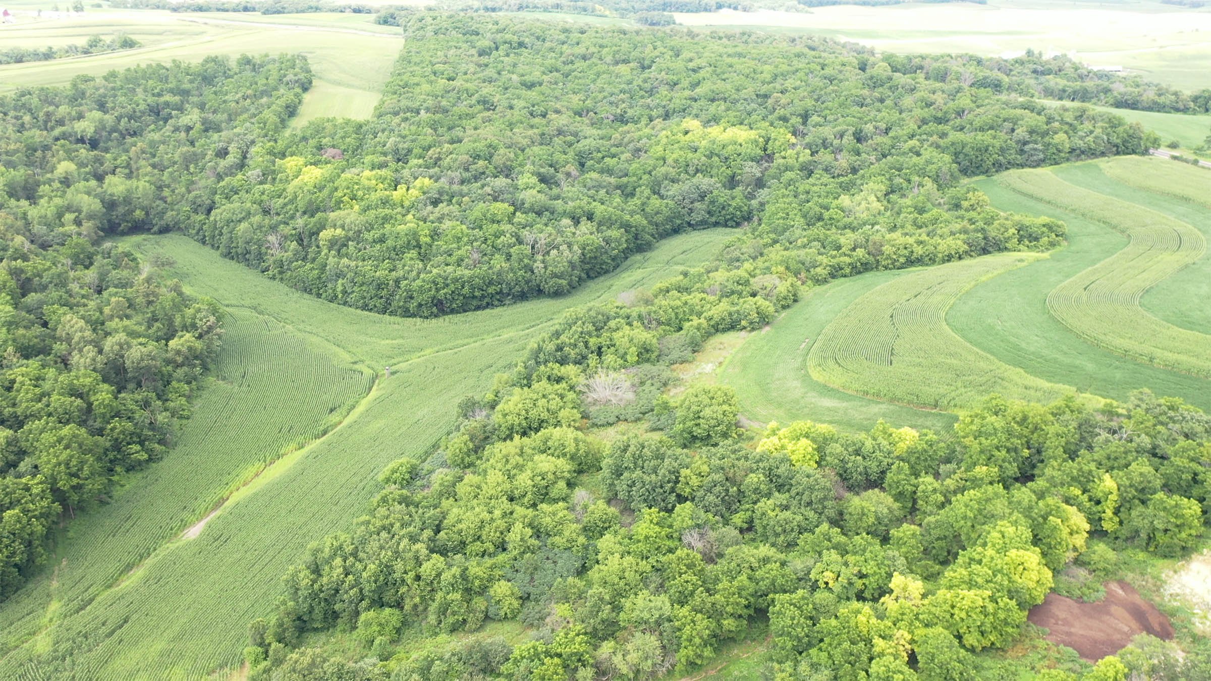 Property photo 1 - LAND FOR SALE - GRANT COUNTY, WI - 99 ACRES - EXCELLENT ALL-AROUND PROPERTY FOR HUNTING AND FARMING - OFFER PENDING