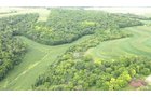 Property photo 1 - LAND FOR SALE - GRANT COUNTY, WI - 99 ACRES - EXCELLENT ALL-AROUND PROPERTY FOR HUNTING AND FARMING - OFFER PENDING