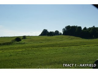 Property photo 21 - LAND FOR SALE - LAWRENCE COUNTY, IN - 470+/-  ACRE ESSENTIAL ALL AROUND FARM IN THREE TRACTS - OFFER PENDING ON TRACTS 2 & 3
