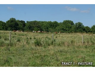 Property photo 22 - LAND FOR SALE - LAWRENCE COUNTY, IN - 470+/-  ACRE ESSENTIAL ALL AROUND FARM IN THREE TRACTS - OFFER PENDING ON TRACTS 2 & 3