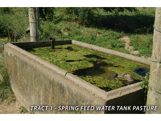 Property photo 23 - LAND FOR SALE - LAWRENCE COUNTY, IN - 470+/-  ACRE ESSENTIAL ALL AROUND FARM IN THREE TRACTS - OFFER PENDING ON TRACTS 2 & 3