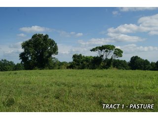 Property photo 24 - LAND FOR SALE - LAWRENCE COUNTY, IN - 470+/-  ACRE ESSENTIAL ALL AROUND FARM IN THREE TRACTS - OFFER PENDING ON TRACTS 2 & 3