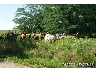 Property photo 25 - LAND FOR SALE - LAWRENCE COUNTY, IN - 470+/-  ACRE ESSENTIAL ALL AROUND FARM IN THREE TRACTS - OFFER PENDING ON TRACTS 2 & 3
