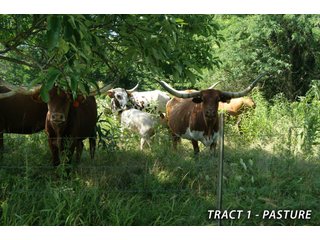 Property photo 26 - LAND FOR SALE - LAWRENCE COUNTY, IN - 470+/-  ACRE ESSENTIAL ALL AROUND FARM IN THREE TRACTS - OFFER PENDING ON TRACTS 2 & 3