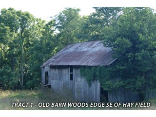 Property photo 40 - LAND FOR SALE - LAWRENCE COUNTY, IN - 470+/-  ACRE ESSENTIAL ALL AROUND FARM IN THREE TRACTS - OFFER PENDING ON TRACTS 2 & 3