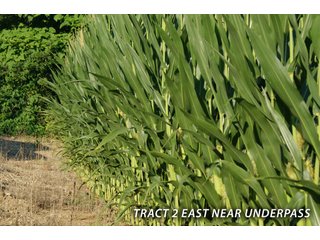 Property photo 43 - LAND FOR SALE - LAWRENCE COUNTY, IN - 470+/-  ACRE ESSENTIAL ALL AROUND FARM IN THREE TRACTS - OFFER PENDING ON TRACTS 2 & 3