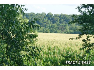Property photo 44 - LAND FOR SALE - LAWRENCE COUNTY, IN - 470+/-  ACRE ESSENTIAL ALL AROUND FARM IN THREE TRACTS - OFFER PENDING ON TRACTS 2 & 3