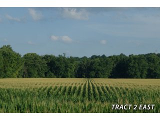 Property photo 45 - LAND FOR SALE - LAWRENCE COUNTY, IN - 470+/-  ACRE ESSENTIAL ALL AROUND FARM IN THREE TRACTS - OFFER PENDING ON TRACTS 2 & 3