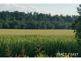Property photo 46 - LAND FOR SALE - LAWRENCE COUNTY, IN - 470+/-  ACRE ESSENTIAL ALL AROUND FARM IN THREE TRACTS - OFFER PENDING ON TRACTS 2 & 3