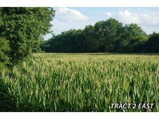 Property photo 47 - LAND FOR SALE - LAWRENCE COUNTY, IN - 470+/-  ACRE ESSENTIAL ALL AROUND FARM IN THREE TRACTS - OFFER PENDING ON TRACTS 2 & 3