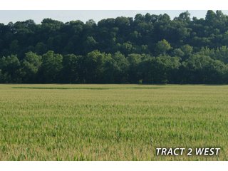 Property photo 48 - LAND FOR SALE - LAWRENCE COUNTY, IN - 470+/-  ACRE ESSENTIAL ALL AROUND FARM IN THREE TRACTS - OFFER PENDING ON TRACTS 2 & 3
