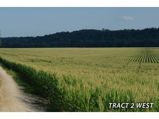 Property photo 49 - LAND FOR SALE - LAWRENCE COUNTY, IN - 470+/-  ACRE ESSENTIAL ALL AROUND FARM IN THREE TRACTS - OFFER PENDING ON TRACTS 2 & 3