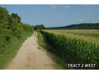 Property photo 50 - LAND FOR SALE - LAWRENCE COUNTY, IN - 470+/-  ACRE ESSENTIAL ALL AROUND FARM IN THREE TRACTS - OFFER PENDING ON TRACTS 2 & 3