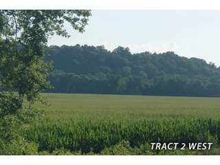 Property photo 52 - LAND FOR SALE - LAWRENCE COUNTY, IN - 470+/-  ACRE ESSENTIAL ALL AROUND FARM IN THREE TRACTS - OFFER PENDING ON TRACTS 2 & 3