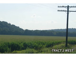 Property photo 53 - LAND FOR SALE - LAWRENCE COUNTY, IN - 470+/-  ACRE ESSENTIAL ALL AROUND FARM IN THREE TRACTS - OFFER PENDING ON TRACTS 2 & 3