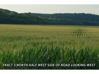 Property photo 57 - LAND FOR SALE - LAWRENCE COUNTY, IN - 470+/-  ACRE ESSENTIAL ALL AROUND FARM IN THREE TRACTS - OFFER PENDING ON TRACTS 2 & 3