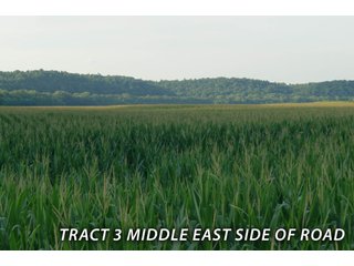 Property photo 58 - LAND FOR SALE - LAWRENCE COUNTY, IN - 470+/-  ACRE ESSENTIAL ALL AROUND FARM IN THREE TRACTS - OFFER PENDING ON TRACTS 2 & 3