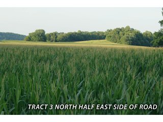 Property photo 59 - LAND FOR SALE - LAWRENCE COUNTY, IN - 470+/-  ACRE ESSENTIAL ALL AROUND FARM IN THREE TRACTS - OFFER PENDING ON TRACTS 2 & 3