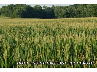Property photo 60 - LAND FOR SALE - LAWRENCE COUNTY, IN - 470+/-  ACRE ESSENTIAL ALL AROUND FARM IN THREE TRACTS - OFFER PENDING ON TRACTS 2 & 3