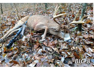 Property photo 61 - LAND FOR SALE - LAWRENCE COUNTY, IN - 470+/-  ACRE ESSENTIAL ALL AROUND FARM IN THREE TRACTS - OFFER PENDING ON TRACTS 2 & 3