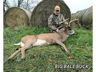 Property photo 62 - LAND FOR SALE - LAWRENCE COUNTY, IN - 470+/-  ACRE ESSENTIAL ALL AROUND FARM IN THREE TRACTS - OFFER PENDING ON TRACTS 2 & 3