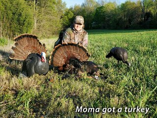 Property photo 64 - LAND FOR SALE - LAWRENCE COUNTY, IN - 470+/-  ACRE ESSENTIAL ALL AROUND FARM IN THREE TRACTS - OFFER PENDING ON TRACTS 2 & 3