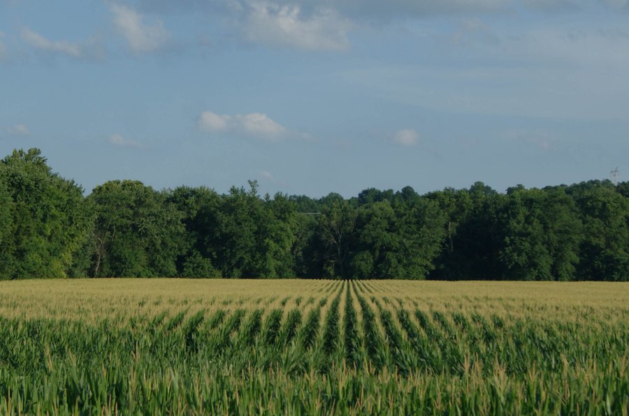 For sale: LAND FOR SALE - LAWRENCE COUNTY, IN - 470+/-  ACRE ESSENTIAL ALL AROUND FARM IN THREE TRACTS - OFFER PENDING ON TRACTS 2 & 3 - Tunnelton, Indiana - Bedford, Indiana - Lawrenceport, Indiana