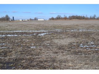 <b>This property offers productive tillable land and a CRP contract on 17.1 acres, with a high rental rate, for conservation and wildlife habitat.</b>  The wooded and grass ridge that crosses part of this property shows signs of heavy deer activity and would also be a beautiful setting for a home or cabin.  This property is in a prime deer location and do not overlook the pond stocked with bass, bluegill and catfish.  There is also a very functional 48ft x 96ft machine shed with a concrete floor and electric.  The sellers will consider divisions of the property.

<i><b>PROPERTY/LISTING DETAILS:</b></I>
<b>Possession Date:</b> At closing subject to farm tenant rights which expire January 1, 2021 
<b>Taxes:</b><i><u> 2019 Real Estate Taxes Payable 2020</u></i> - Property east of Meridian Road (2 tax ID's):  $4,879.74 - Drainage Assessments:  $888.60 - <I><u> 2019 Real Estate Taxes Payable 2020</u></i> - Property west of Meridian Road (1 tax ID):  $4,172.00 - Drainage Assessments:  $859.20
<b>Zoning:</b>  Ag
<b>Other:</b> The sellers will consider divisions of the property.
<i>Note: County tax records show 210.21 acres on the property east of Meridian Road while a 2014 survey shows 211.427 +/- acres.  County tax records show 182.251 acres on the property west of Meridian Road.  Total acres from County Tax records is 392.461.</i>
<b>School District:</b>  North Newton School Corporation    	
<b>Elec. Source:</b>  Newton County REMC
<b><i><u>FSA DATA:</u></b></i>
<b>FSA Cropland:</b>  357.53* acres of which 17.1 acres is in CRP.  <i>*Listing Company estimates approximately 2.5 acres of FSA Cropland not part of property being sold. Contact listing agents for FSA Aerial and other information.</i>
<b>Corn Base Acr.:</b>  182.5,  PLC Yield: 131     
<b>Wheat Base Acr.:</b>  4.2,  PLC Yield:  44    
<b>Soybean Base Acr:</b>  110.0,  PLC Yield:  37	         
<b>Conservation Reserve Program (CRP):</b> 17.1 acres; Annual Rental Rate Per Acre - $339.83;  Contract expires:  September 30, 2025	
<i>Buyer shall assume the existing CRP contract obligations and shall timely sign all documents required by the FSA Office in connection therewith.  Any penalty, repayment and/or interest assessed due to termination, noncompliance and/or owner-ineligibility after closing shall be the responsibility of the Buyer.</i>
<b>Improvements:</b> 48ft X 96ft Pole Building with concrete floor and 220 amp electric service.  23ft 4in wide x 14ft high door, 23ft 4in wide x 12 ft high clearance door & 15ft 3in wide x 12ft high clearance door.
<b>Owners:</b> John and Peggy Luzer - REAL ESTATE FOR SALE - 392.4+/- ACRES - CROPLAND, WOODS FOR HUNTING/RECREATIONAL, POND & POTENTIAL BUILDING SITES
