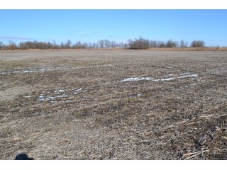 <b>This property offers productive tillable land and a CRP contract on 17.1 acres, with a high rental rate, for conservation and wildlife habitat.</b>  The wooded and grass ridge that crosses part of this property shows signs of heavy deer activity and would also be a beautiful setting for a home or cabin.  This property is in a prime deer location and do not overlook the pond stocked with bass, bluegill and catfish.  There is also a very functional 48ft x 96ft machine shed with a concrete floor and electric.  The sellers will consider divisions of the property.

<i><b>PROPERTY/LISTING DETAILS:</b></I>
<b>Possession Date:</b> At closing subject to farm tenant rights which expire January 1, 2021 
<b>Taxes:</b><i><u> 2019 Real Estate Taxes Payable 2020</u></i> - Property east of Meridian Road (2 tax ID's):  $4,879.74 - Drainage Assessments:  $888.60 - <I><u> 2019 Real Estate Taxes Payable 2020</u></i> - Property west of Meridian Road (1 tax ID):  $4,172.00 - Drainage Assessments:  $859.20
<b>Zoning:</b>  Ag
<b>Other:</b> The sellers will consider divisions of the property.
<i>Note: County tax records show 210.21 acres on the property east of Meridian Road while a 2014 survey shows 211.427 +/- acres.  County tax records show 182.251 acres on the property west of Meridian Road.  Total acres from County Tax records is 392.461.</i>
<b>School District:</b>  North Newton School Corporation    	
<b>Elec. Source:</b>  Newton County REMC
<b><i><u>FSA DATA:</u></b></i>
<b>FSA Cropland:</b>  357.53* acres of which 17.1 acres is in CRP.  <i>*Listing Company estimates approximately 2.5 acres of FSA Cropland not part of property being sold. Contact listing agents for FSA Aerial and other information.</i>
<b>Corn Base Acr.:</b>  182.5,  PLC Yield: 131     
<b>Wheat Base Acr.:</b>  4.2,  PLC Yield:  44    
<b>Soybean Base Acr:</b>  110.0,  PLC Yield:  37	         
<b>Conservation Reserve Program (CRP):</b> 17.1 acres; Annual Rental Rate Per Acre - $339.83;  Contract expires:  September 30, 2025	
<i>Buyer shall assume the existing CRP contract obligations and shall timely sign all documents required by the FSA Office in connection therewith.  Any penalty, repayment and/or interest assessed due to termination, noncompliance and/or owner-ineligibility after closing shall be the responsibility of the Buyer.</i>
<b>Improvements:</b> 48ft X 96ft Pole Building with concrete floor and 220 amp electric service.  23ft 4in wide x 14ft high door, 23ft 4in wide x 12 ft high clearance door & 15ft 3in wide x 12ft high clearance door.
<b>Owners:</b> John and Peggy Luzer - REAL ESTATE FOR SALE - 392.4+/- ACRES - CROPLAND, WOODS FOR HUNTING/RECREATIONAL, POND & POTENTIAL BUILDING SITES