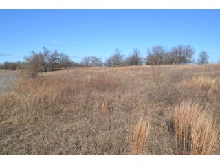 <b>This property offers productive tillable land and a CRP contract on 17.1 acres, with a high rental rate, for conservation and wildlife habitat.</b>  The wooded and grass ridge that crosses part of this property shows signs of heavy deer activity and would also be a beautiful setting for a home or cabin.  This property is in a prime deer location and do not overlook the pond stocked with bass, bluegill and catfish.  There is also a very functional 48ft x 96ft machine shed with a concrete floor and electric.  The sellers will consider divisions of the property.

<i><b>PROPERTY/LISTING DETAILS:</b></I>
<b>Possession Date:</b> At closing subject to farm tenant rights which expire January 1, 2021 
<b>Taxes:</b><i><u> 2019 Real Estate Taxes Payable 2020</u></i> - Property east of Meridian Road (2 tax ID's):  $4,879.74 - Drainage Assessments:  $888.60 - <I><u> 2019 Real Estate Taxes Payable 2020</u></i> - Property west of Meridian Road (1 tax ID):  $4,172.00 - Drainage Assessments:  $859.20
<b>Zoning:</b>  Ag
<b>Other:</b> The sellers will consider divisions of the property.
<i>Note: County tax records show 210.21 acres on the property east of Meridian Road while a 2014 survey shows 211.427 +/- acres.  County tax records show 182.251 acres on the property west of Meridian Road.  Total acres from County Tax records is 392.461.</i>
<b>School District:</b>  North Newton School Corporation    	
<b>Elec. Source:</b>  Newton County REMC
<b><i><u>FSA DATA:</u></b></i>
<b>FSA Cropland:</b>  357.53* acres of which 17.1 acres is in CRP.  <i>*Listing Company estimates approximately 2.5 acres of FSA Cropland not part of property being sold. Contact listing agents for FSA Aerial and other information.</i>
<b>Corn Base Acr.:</b>  182.5,  PLC Yield: 131     
<b>Wheat Base Acr.:</b>  4.2,  PLC Yield:  44    
<b>Soybean Base Acr:</b>  110.0,  PLC Yield:  37	         
<b>Conservation Reserve Program (CRP):</b> 17.1 acres; Annual Rental Rate Per Acre - $339.83;  Contract expires:  September 30, 2025	
<i>Buyer shall assume the existing CRP contract obligations and shall timely sign all documents required by the FSA Office in connection therewith.  Any penalty, repayment and/or interest assessed due to termination, noncompliance and/or owner-ineligibility after closing shall be the responsibility of the Buyer.</i>
<b>Improvements:</b> 48ft X 96ft Pole Building with concrete floor and 220 amp electric service.  23ft 4in wide x 14ft high door, 23ft 4in wide x 12 ft high clearance door & 15ft 3in wide x 12ft high clearance door.
<b>Owners:</b> John and Peggy Luzer - REAL ESTATE FOR SALE - 392.4+/- ACRES - CROPLAND, WOODS FOR HUNTING/RECREATIONAL, POND & POTENTIAL BUILDING SITES