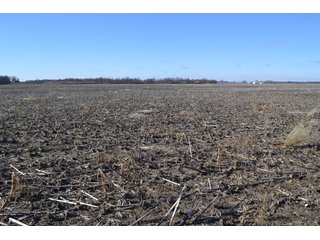 <b>This property offers productive tillable land and a CRP contract on 17.1 acres, with a high rental rate, for conservation and wildlife habitat.</b>  The wooded and grass ridge that crosses part of this property shows signs of heavy deer activity and would also be a beautiful setting for a home or cabin.  This property is in a prime deer location and do not overlook the pond stocked with bass, bluegill and catfish.  There is also a very functional 48ft x 96ft machine shed with a concrete floor and electric.  The sellers will consider divisions of the property.

<i><b>PROPERTY/LISTING DETAILS:</b></I>
<b>Possession Date:</b> At closing subject to farm tenant rights which expire January 1, 2021 
<b>Taxes:</b><i><u> 2019 Real Estate Taxes Payable 2020</u></i> - Property east of Meridian Road (2 tax ID's):  $4,879.74 - Drainage Assessments:  $888.60 - <I><u> 2019 Real Estate Taxes Payable 2020</u></i> - Property west of Meridian Road (1 tax ID):  $4,172.00 - Drainage Assessments:  $859.20
<b>Zoning:</b>  Ag
<b>Other:</b> The sellers will consider divisions of the property.
<i>Note: County tax records show 210.21 acres on the property east of Meridian Road while a 2014 survey shows 211.427 +/- acres.  County tax records show 182.251 acres on the property west of Meridian Road.  Total acres from County Tax records is 392.461.</i>
<b>School District:</b>  North Newton School Corporation    	
<b>Elec. Source:</b>  Newton County REMC
<b><i><u>FSA DATA:</u></b></i>
<b>FSA Cropland:</b>  357.53* acres of which 17.1 acres is in CRP.  <i>*Listing Company estimates approximately 2.5 acres of FSA Cropland not part of property being sold. Contact listing agents for FSA Aerial and other information.</i>
<b>Corn Base Acr.:</b>  182.5,  PLC Yield: 131     
<b>Wheat Base Acr.:</b>  4.2,  PLC Yield:  44    
<b>Soybean Base Acr:</b>  110.0,  PLC Yield:  37	         
<b>Conservation Reserve Program (CRP):</b> 17.1 acres; Annual Rental Rate Per Acre - $339.83;  Contract expires:  September 30, 2025	
<i>Buyer shall assume the existing CRP contract obligations and shall timely sign all documents required by the FSA Office in connection therewith.  Any penalty, repayment and/or interest assessed due to termination, noncompliance and/or owner-ineligibility after closing shall be the responsibility of the Buyer.</i>
<b>Improvements:</b> 48ft X 96ft Pole Building with concrete floor and 220 amp electric service.  23ft 4in wide x 14ft high door, 23ft 4in wide x 12 ft high clearance door & 15ft 3in wide x 12ft high clearance door.
<b>Owners:</b> John and Peggy Luzer - REAL ESTATE FOR SALE - 392.4+/- ACRES - CROPLAND, WOODS FOR HUNTING/RECREATIONAL, POND & POTENTIAL BUILDING SITES
