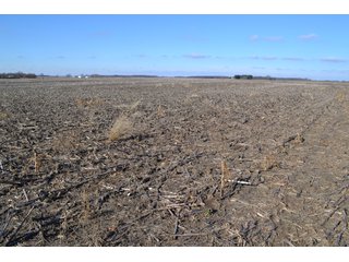 <b>This property offers productive tillable land and a CRP contract on 17.1 acres, with a high rental rate, for conservation and wildlife habitat.</b>  The wooded and grass ridge that crosses part of this property shows signs of heavy deer activity and would also be a beautiful setting for a home or cabin.  This property is in a prime deer location and do not overlook the pond stocked with bass, bluegill and catfish.  There is also a very functional 48ft x 96ft machine shed with a concrete floor and electric.  The sellers will consider divisions of the property.

<i><b>PROPERTY/LISTING DETAILS:</b></I>
<b>Possession Date:</b> At closing subject to farm tenant rights which expire January 1, 2021 
<b>Taxes:</b><i><u> 2019 Real Estate Taxes Payable 2020</u></i> - Property east of Meridian Road (2 tax ID's):  $4,879.74 - Drainage Assessments:  $888.60 - <I><u> 2019 Real Estate Taxes Payable 2020</u></i> - Property west of Meridian Road (1 tax ID):  $4,172.00 - Drainage Assessments:  $859.20
<b>Zoning:</b>  Ag
<b>Other:</b> The sellers will consider divisions of the property.
<i>Note: County tax records show 210.21 acres on the property east of Meridian Road while a 2014 survey shows 211.427 +/- acres.  County tax records show 182.251 acres on the property west of Meridian Road.  Total acres from County Tax records is 392.461.</i>
<b>School District:</b>  North Newton School Corporation    	
<b>Elec. Source:</b>  Newton County REMC
<b><i><u>FSA DATA:</u></b></i>
<b>FSA Cropland:</b>  357.53* acres of which 17.1 acres is in CRP.  <i>*Listing Company estimates approximately 2.5 acres of FSA Cropland not part of property being sold. Contact listing agents for FSA Aerial and other information.</i>
<b>Corn Base Acr.:</b>  182.5,  PLC Yield: 131     
<b>Wheat Base Acr.:</b>  4.2,  PLC Yield:  44    
<b>Soybean Base Acr:</b>  110.0,  PLC Yield:  37	         
<b>Conservation Reserve Program (CRP):</b> 17.1 acres; Annual Rental Rate Per Acre - $339.83;  Contract expires:  September 30, 2025	
<i>Buyer shall assume the existing CRP contract obligations and shall timely sign all documents required by the FSA Office in connection therewith.  Any penalty, repayment and/or interest assessed due to termination, noncompliance and/or owner-ineligibility after closing shall be the responsibility of the Buyer.</i>
<b>Improvements:</b> 48ft X 96ft Pole Building with concrete floor and 220 amp electric service.  23ft 4in wide x 14ft high door, 23ft 4in wide x 12 ft high clearance door & 15ft 3in wide x 12ft high clearance door.
<b>Owners:</b> John and Peggy Luzer - REAL ESTATE FOR SALE - 392.4+/- ACRES - CROPLAND, WOODS FOR HUNTING/RECREATIONAL, POND & POTENTIAL BUILDING SITES