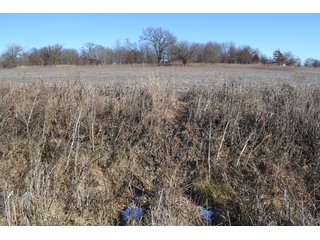 <b>This property offers productive tillable land and a CRP contract on 17.1 acres, with a high rental rate, for conservation and wildlife habitat.</b>  The wooded and grass ridge that crosses part of this property shows signs of heavy deer activity and would also be a beautiful setting for a home or cabin.  This property is in a prime deer location and do not overlook the pond stocked with bass, bluegill and catfish.  There is also a very functional 48ft x 96ft machine shed with a concrete floor and electric.  The sellers will consider divisions of the property.

<i><b>PROPERTY/LISTING DETAILS:</b></I>
<b>Possession Date:</b> At closing subject to farm tenant rights which expire January 1, 2021 
<b>Taxes:</b><i><u> 2019 Real Estate Taxes Payable 2020</u></i> - Property east of Meridian Road (2 tax ID's):  $4,879.74 - Drainage Assessments:  $888.60 - <I><u> 2019 Real Estate Taxes Payable 2020</u></i> - Property west of Meridian Road (1 tax ID):  $4,172.00 - Drainage Assessments:  $859.20
<b>Zoning:</b>  Ag
<b>Other:</b> The sellers will consider divisions of the property.
<i>Note: County tax records show 210.21 acres on the property east of Meridian Road while a 2014 survey shows 211.427 +/- acres.  County tax records show 182.251 acres on the property west of Meridian Road.  Total acres from County Tax records is 392.461.</i>
<b>School District:</b>  North Newton School Corporation    	
<b>Elec. Source:</b>  Newton County REMC
<b><i><u>FSA DATA:</u></b></i>
<b>FSA Cropland:</b>  357.53* acres of which 17.1 acres is in CRP.  <i>*Listing Company estimates approximately 2.5 acres of FSA Cropland not part of property being sold. Contact listing agents for FSA Aerial and other information.</i>
<b>Corn Base Acr.:</b>  182.5,  PLC Yield: 131     
<b>Wheat Base Acr.:</b>  4.2,  PLC Yield:  44    
<b>Soybean Base Acr:</b>  110.0,  PLC Yield:  37	         
<b>Conservation Reserve Program (CRP):</b> 17.1 acres; Annual Rental Rate Per Acre - $339.83;  Contract expires:  September 30, 2025	
<i>Buyer shall assume the existing CRP contract obligations and shall timely sign all documents required by the FSA Office in connection therewith.  Any penalty, repayment and/or interest assessed due to termination, noncompliance and/or owner-ineligibility after closing shall be the responsibility of the Buyer.</i>
<b>Improvements:</b> 48ft X 96ft Pole Building with concrete floor and 220 amp electric service.  23ft 4in wide x 14ft high door, 23ft 4in wide x 12 ft high clearance door & 15ft 3in wide x 12ft high clearance door.
<b>Owners:</b> John and Peggy Luzer - REAL ESTATE FOR SALE - 392.4+/- ACRES - CROPLAND, WOODS FOR HUNTING/RECREATIONAL, POND & POTENTIAL BUILDING SITES