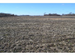 <b>This property offers productive tillable land and a CRP contract on 17.1 acres, with a high rental rate, for conservation and wildlife habitat.</b>  The wooded and grass ridge that crosses part of this property shows signs of heavy deer activity and would also be a beautiful setting for a home or cabin.  This property is in a prime deer location and do not overlook the pond stocked with bass, bluegill and catfish.  There is also a very functional 48ft x 96ft machine shed with a concrete floor and electric.  The sellers will consider divisions of the property.

<i><b>PROPERTY/LISTING DETAILS:</b></I>
<b>Possession Date:</b> At closing subject to farm tenant rights which expire January 1, 2021 
<b>Taxes:</b><i><u> 2019 Real Estate Taxes Payable 2020</u></i> - Property east of Meridian Road (2 tax ID's):  $4,879.74 - Drainage Assessments:  $888.60 - <I><u> 2019 Real Estate Taxes Payable 2020</u></i> - Property west of Meridian Road (1 tax ID):  $4,172.00 - Drainage Assessments:  $859.20
<b>Zoning:</b>  Ag
<b>Other:</b> The sellers will consider divisions of the property.
<i>Note: County tax records show 210.21 acres on the property east of Meridian Road while a 2014 survey shows 211.427 +/- acres.  County tax records show 182.251 acres on the property west of Meridian Road.  Total acres from County Tax records is 392.461.</i>
<b>School District:</b>  North Newton School Corporation    	
<b>Elec. Source:</b>  Newton County REMC
<b><i><u>FSA DATA:</u></b></i>
<b>FSA Cropland:</b>  357.53* acres of which 17.1 acres is in CRP.  <i>*Listing Company estimates approximately 2.5 acres of FSA Cropland not part of property being sold. Contact listing agents for FSA Aerial and other information.</i>
<b>Corn Base Acr.:</b>  182.5,  PLC Yield: 131     
<b>Wheat Base Acr.:</b>  4.2,  PLC Yield:  44    
<b>Soybean Base Acr:</b>  110.0,  PLC Yield:  37	         
<b>Conservation Reserve Program (CRP):</b> 17.1 acres; Annual Rental Rate Per Acre - $339.83;  Contract expires:  September 30, 2025	
<i>Buyer shall assume the existing CRP contract obligations and shall timely sign all documents required by the FSA Office in connection therewith.  Any penalty, repayment and/or interest assessed due to termination, noncompliance and/or owner-ineligibility after closing shall be the responsibility of the Buyer.</i>
<b>Improvements:</b> 48ft X 96ft Pole Building with concrete floor and 220 amp electric service.  23ft 4in wide x 14ft high door, 23ft 4in wide x 12 ft high clearance door & 15ft 3in wide x 12ft high clearance door.
<b>Owners:</b> John and Peggy Luzer - REAL ESTATE FOR SALE - 392.4+/- ACRES - CROPLAND, WOODS FOR HUNTING/RECREATIONAL, POND & POTENTIAL BUILDING SITES