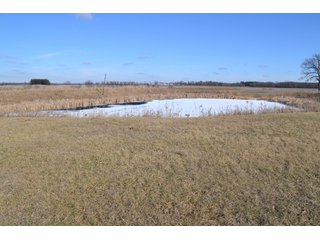 <b>This property offers productive tillable land and a CRP contract on 17.1 acres, with a high rental rate, for conservation and wildlife habitat.</b>  The wooded and grass ridge that crosses part of this property shows signs of heavy deer activity and would also be a beautiful setting for a home or cabin.  This property is in a prime deer location and do not overlook the pond stocked with bass, bluegill and catfish.  There is also a very functional 48ft x 96ft machine shed with a concrete floor and electric.  The sellers will consider divisions of the property.

<i><b>PROPERTY/LISTING DETAILS:</b></I>
<b>Possession Date:</b> At closing subject to farm tenant rights which expire January 1, 2021 
<b>Taxes:</b><i><u> 2019 Real Estate Taxes Payable 2020</u></i> - Property east of Meridian Road (2 tax ID's):  $4,879.74 - Drainage Assessments:  $888.60 - <I><u> 2019 Real Estate Taxes Payable 2020</u></i> - Property west of Meridian Road (1 tax ID):  $4,172.00 - Drainage Assessments:  $859.20
<b>Zoning:</b>  Ag
<b>Other:</b> The sellers will consider divisions of the property.
<i>Note: County tax records show 210.21 acres on the property east of Meridian Road while a 2014 survey shows 211.427 +/- acres.  County tax records show 182.251 acres on the property west of Meridian Road.  Total acres from County Tax records is 392.461.</i>
<b>School District:</b>  North Newton School Corporation    	
<b>Elec. Source:</b>  Newton County REMC
<b><i><u>FSA DATA:</u></b></i>
<b>FSA Cropland:</b>  357.53* acres of which 17.1 acres is in CRP.  <i>*Listing Company estimates approximately 2.5 acres of FSA Cropland not part of property being sold. Contact listing agents for FSA Aerial and other information.</i>
<b>Corn Base Acr.:</b>  182.5,  PLC Yield: 131     
<b>Wheat Base Acr.:</b>  4.2,  PLC Yield:  44    
<b>Soybean Base Acr:</b>  110.0,  PLC Yield:  37	         
<b>Conservation Reserve Program (CRP):</b> 17.1 acres; Annual Rental Rate Per Acre - $339.83;  Contract expires:  September 30, 2025	
<i>Buyer shall assume the existing CRP contract obligations and shall timely sign all documents required by the FSA Office in connection therewith.  Any penalty, repayment and/or interest assessed due to termination, noncompliance and/or owner-ineligibility after closing shall be the responsibility of the Buyer.</i>
<b>Improvements:</b> 48ft X 96ft Pole Building with concrete floor and 220 amp electric service.  23ft 4in wide x 14ft high door, 23ft 4in wide x 12 ft high clearance door & 15ft 3in wide x 12ft high clearance door.
<b>Owners:</b> John and Peggy Luzer - REAL ESTATE FOR SALE - 392.4+/- ACRES - CROPLAND, WOODS FOR HUNTING/RECREATIONAL, POND & POTENTIAL BUILDING SITES