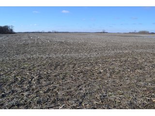 <b>This property offers productive tillable land and a CRP contract on 17.1 acres, with a high rental rate, for conservation and wildlife habitat.</b>  The wooded and grass ridge that crosses part of this property shows signs of heavy deer activity and would also be a beautiful setting for a home or cabin.  This property is in a prime deer location and do not overlook the pond stocked with bass, bluegill and catfish.  There is also a very functional 48ft x 96ft machine shed with a concrete floor and electric.  The sellers will consider divisions of the property.

<i><b>PROPERTY/LISTING DETAILS:</b></I>
<b>Possession Date:</b> At closing subject to farm tenant rights which expire January 1, 2021 
<b>Taxes:</b><i><u> 2019 Real Estate Taxes Payable 2020</u></i> - Property east of Meridian Road (2 tax ID's):  $4,879.74 - Drainage Assessments:  $888.60 - <I><u> 2019 Real Estate Taxes Payable 2020</u></i> - Property west of Meridian Road (1 tax ID):  $4,172.00 - Drainage Assessments:  $859.20
<b>Zoning:</b>  Ag
<b>Other:</b> The sellers will consider divisions of the property.
<i>Note: County tax records show 210.21 acres on the property east of Meridian Road while a 2014 survey shows 211.427 +/- acres.  County tax records show 182.251 acres on the property west of Meridian Road.  Total acres from County Tax records is 392.461.</i>
<b>School District:</b>  North Newton School Corporation    	
<b>Elec. Source:</b>  Newton County REMC
<b><i><u>FSA DATA:</u></b></i>
<b>FSA Cropland:</b>  357.53* acres of which 17.1 acres is in CRP.  <i>*Listing Company estimates approximately 2.5 acres of FSA Cropland not part of property being sold. Contact listing agents for FSA Aerial and other information.</i>
<b>Corn Base Acr.:</b>  182.5,  PLC Yield: 131     
<b>Wheat Base Acr.:</b>  4.2,  PLC Yield:  44    
<b>Soybean Base Acr:</b>  110.0,  PLC Yield:  37	         
<b>Conservation Reserve Program (CRP):</b> 17.1 acres; Annual Rental Rate Per Acre - $339.83;  Contract expires:  September 30, 2025	
<i>Buyer shall assume the existing CRP contract obligations and shall timely sign all documents required by the FSA Office in connection therewith.  Any penalty, repayment and/or interest assessed due to termination, noncompliance and/or owner-ineligibility after closing shall be the responsibility of the Buyer.</i>
<b>Improvements:</b> 48ft X 96ft Pole Building with concrete floor and 220 amp electric service.  23ft 4in wide x 14ft high door, 23ft 4in wide x 12 ft high clearance door & 15ft 3in wide x 12ft high clearance door.
<b>Owners:</b> John and Peggy Luzer - REAL ESTATE FOR SALE - 392.4+/- ACRES - CROPLAND, WOODS FOR HUNTING/RECREATIONAL, POND & POTENTIAL BUILDING SITES