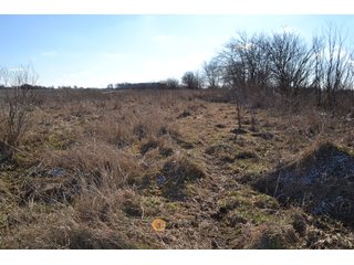 <b>This property offers productive tillable land and a CRP contract on 17.1 acres, with a high rental rate, for conservation and wildlife habitat.</b>  The wooded and grass ridge that crosses part of this property shows signs of heavy deer activity and would also be a beautiful setting for a home or cabin.  This property is in a prime deer location and do not overlook the pond stocked with bass, bluegill and catfish.  There is also a very functional 48ft x 96ft machine shed with a concrete floor and electric.  The sellers will consider divisions of the property.

<i><b>PROPERTY/LISTING DETAILS:</b></I>
<b>Possession Date:</b> At closing subject to farm tenant rights which expire January 1, 2021 
<b>Taxes:</b><i><u> 2019 Real Estate Taxes Payable 2020</u></i> - Property east of Meridian Road (2 tax ID's):  $4,879.74 - Drainage Assessments:  $888.60 - <I><u> 2019 Real Estate Taxes Payable 2020</u></i> - Property west of Meridian Road (1 tax ID):  $4,172.00 - Drainage Assessments:  $859.20
<b>Zoning:</b>  Ag
<b>Other:</b> The sellers will consider divisions of the property.
<i>Note: County tax records show 210.21 acres on the property east of Meridian Road while a 2014 survey shows 211.427 +/- acres.  County tax records show 182.251 acres on the property west of Meridian Road.  Total acres from County Tax records is 392.461.</i>
<b>School District:</b>  North Newton School Corporation    	
<b>Elec. Source:</b>  Newton County REMC
<b><i><u>FSA DATA:</u></b></i>
<b>FSA Cropland:</b>  357.53* acres of which 17.1 acres is in CRP.  <i>*Listing Company estimates approximately 2.5 acres of FSA Cropland not part of property being sold. Contact listing agents for FSA Aerial and other information.</i>
<b>Corn Base Acr.:</b>  182.5,  PLC Yield: 131     
<b>Wheat Base Acr.:</b>  4.2,  PLC Yield:  44    
<b>Soybean Base Acr:</b>  110.0,  PLC Yield:  37	         
<b>Conservation Reserve Program (CRP):</b> 17.1 acres; Annual Rental Rate Per Acre - $339.83;  Contract expires:  September 30, 2025	
<i>Buyer shall assume the existing CRP contract obligations and shall timely sign all documents required by the FSA Office in connection therewith.  Any penalty, repayment and/or interest assessed due to termination, noncompliance and/or owner-ineligibility after closing shall be the responsibility of the Buyer.</i>
<b>Improvements:</b> 48ft X 96ft Pole Building with concrete floor and 220 amp electric service.  23ft 4in wide x 14ft high door, 23ft 4in wide x 12 ft high clearance door & 15ft 3in wide x 12ft high clearance door.
<b>Owners:</b> John and Peggy Luzer - REAL ESTATE FOR SALE - 392.4+/- ACRES - CROPLAND, WOODS FOR HUNTING/RECREATIONAL, POND & POTENTIAL BUILDING SITES