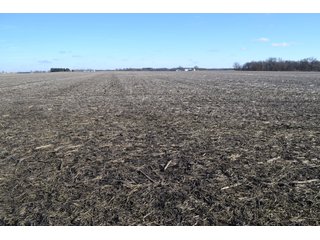 <b>This property offers productive tillable land and a CRP contract on 17.1 acres, with a high rental rate, for conservation and wildlife habitat.</b>  The wooded and grass ridge that crosses part of this property shows signs of heavy deer activity and would also be a beautiful setting for a home or cabin.  This property is in a prime deer location and do not overlook the pond stocked with bass, bluegill and catfish.  There is also a very functional 48ft x 96ft machine shed with a concrete floor and electric.  The sellers will consider divisions of the property.

<i><b>PROPERTY/LISTING DETAILS:</b></I>
<b>Possession Date:</b> At closing subject to farm tenant rights which expire January 1, 2021 
<b>Taxes:</b><i><u> 2019 Real Estate Taxes Payable 2020</u></i> - Property east of Meridian Road (2 tax ID's):  $4,879.74 - Drainage Assessments:  $888.60 - <I><u> 2019 Real Estate Taxes Payable 2020</u></i> - Property west of Meridian Road (1 tax ID):  $4,172.00 - Drainage Assessments:  $859.20
<b>Zoning:</b>  Ag
<b>Other:</b> The sellers will consider divisions of the property.
<i>Note: County tax records show 210.21 acres on the property east of Meridian Road while a 2014 survey shows 211.427 +/- acres.  County tax records show 182.251 acres on the property west of Meridian Road.  Total acres from County Tax records is 392.461.</i>
<b>School District:</b>  North Newton School Corporation    	
<b>Elec. Source:</b>  Newton County REMC
<b><i><u>FSA DATA:</u></b></i>
<b>FSA Cropland:</b>  357.53* acres of which 17.1 acres is in CRP.  <i>*Listing Company estimates approximately 2.5 acres of FSA Cropland not part of property being sold. Contact listing agents for FSA Aerial and other information.</i>
<b>Corn Base Acr.:</b>  182.5,  PLC Yield: 131     
<b>Wheat Base Acr.:</b>  4.2,  PLC Yield:  44    
<b>Soybean Base Acr:</b>  110.0,  PLC Yield:  37	         
<b>Conservation Reserve Program (CRP):</b> 17.1 acres; Annual Rental Rate Per Acre - $339.83;  Contract expires:  September 30, 2025	
<i>Buyer shall assume the existing CRP contract obligations and shall timely sign all documents required by the FSA Office in connection therewith.  Any penalty, repayment and/or interest assessed due to termination, noncompliance and/or owner-ineligibility after closing shall be the responsibility of the Buyer.</i>
<b>Improvements:</b> 48ft X 96ft Pole Building with concrete floor and 220 amp electric service.  23ft 4in wide x 14ft high door, 23ft 4in wide x 12 ft high clearance door & 15ft 3in wide x 12ft high clearance door.
<b>Owners:</b> John and Peggy Luzer - REAL ESTATE FOR SALE - 392.4+/- ACRES - CROPLAND, WOODS FOR HUNTING/RECREATIONAL, POND & POTENTIAL BUILDING SITES