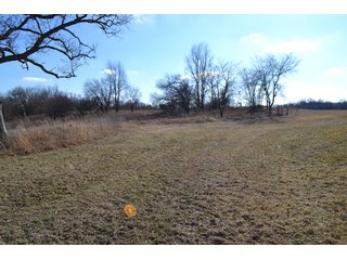 <b>This property offers productive tillable land and a CRP contract on 17.1 acres, with a high rental rate, for conservation and wildlife habitat.</b>  The wooded and grass ridge that crosses part of this property shows signs of heavy deer activity and would also be a beautiful setting for a home or cabin.  This property is in a prime deer location and do not overlook the pond stocked with bass, bluegill and catfish.  There is also a very functional 48ft x 96ft machine shed with a concrete floor and electric.  The sellers will consider divisions of the property.

<i><b>PROPERTY/LISTING DETAILS:</b></I>
<b>Possession Date:</b> At closing subject to farm tenant rights which expire January 1, 2021 
<b>Taxes:</b><i><u> 2019 Real Estate Taxes Payable 2020</u></i> - Property east of Meridian Road (2 tax ID's):  $4,879.74 - Drainage Assessments:  $888.60 - <I><u> 2019 Real Estate Taxes Payable 2020</u></i> - Property west of Meridian Road (1 tax ID):  $4,172.00 - Drainage Assessments:  $859.20
<b>Zoning:</b>  Ag
<b>Other:</b> The sellers will consider divisions of the property.
<i>Note: County tax records show 210.21 acres on the property east of Meridian Road while a 2014 survey shows 211.427 +/- acres.  County tax records show 182.251 acres on the property west of Meridian Road.  Total acres from County Tax records is 392.461.</i>
<b>School District:</b>  North Newton School Corporation    	
<b>Elec. Source:</b>  Newton County REMC
<b><i><u>FSA DATA:</u></b></i>
<b>FSA Cropland:</b>  357.53* acres of which 17.1 acres is in CRP.  <i>*Listing Company estimates approximately 2.5 acres of FSA Cropland not part of property being sold. Contact listing agents for FSA Aerial and other information.</i>
<b>Corn Base Acr.:</b>  182.5,  PLC Yield: 131     
<b>Wheat Base Acr.:</b>  4.2,  PLC Yield:  44    
<b>Soybean Base Acr:</b>  110.0,  PLC Yield:  37	         
<b>Conservation Reserve Program (CRP):</b> 17.1 acres; Annual Rental Rate Per Acre - $339.83;  Contract expires:  September 30, 2025	
<i>Buyer shall assume the existing CRP contract obligations and shall timely sign all documents required by the FSA Office in connection therewith.  Any penalty, repayment and/or interest assessed due to termination, noncompliance and/or owner-ineligibility after closing shall be the responsibility of the Buyer.</i>
<b>Improvements:</b> 48ft X 96ft Pole Building with concrete floor and 220 amp electric service.  23ft 4in wide x 14ft high door, 23ft 4in wide x 12 ft high clearance door & 15ft 3in wide x 12ft high clearance door.
<b>Owners:</b> John and Peggy Luzer - REAL ESTATE FOR SALE - 392.4+/- ACRES - CROPLAND, WOODS FOR HUNTING/RECREATIONAL, POND & POTENTIAL BUILDING SITES