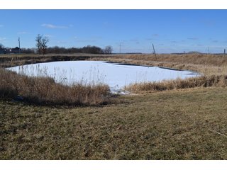 <b>This property offers productive tillable land and a CRP contract on 17.1 acres, with a high rental rate, for conservation and wildlife habitat.</b>  The wooded and grass ridge that crosses part of this property shows signs of heavy deer activity and would also be a beautiful setting for a home or cabin.  This property is in a prime deer location and do not overlook the pond stocked with bass, bluegill and catfish.  There is also a very functional 48ft x 96ft machine shed with a concrete floor and electric.  The sellers will consider divisions of the property.

<i><b>PROPERTY/LISTING DETAILS:</b></I>
<b>Possession Date:</b> At closing subject to farm tenant rights which expire January 1, 2021 
<b>Taxes:</b><i><u> 2019 Real Estate Taxes Payable 2020</u></i> - Property east of Meridian Road (2 tax ID's):  $4,879.74 - Drainage Assessments:  $888.60 - <I><u> 2019 Real Estate Taxes Payable 2020</u></i> - Property west of Meridian Road (1 tax ID):  $4,172.00 - Drainage Assessments:  $859.20
<b>Zoning:</b>  Ag
<b>Other:</b> The sellers will consider divisions of the property.
<i>Note: County tax records show 210.21 acres on the property east of Meridian Road while a 2014 survey shows 211.427 +/- acres.  County tax records show 182.251 acres on the property west of Meridian Road.  Total acres from County Tax records is 392.461.</i>
<b>School District:</b>  North Newton School Corporation    	
<b>Elec. Source:</b>  Newton County REMC
<b><i><u>FSA DATA:</u></b></i>
<b>FSA Cropland:</b>  357.53* acres of which 17.1 acres is in CRP.  <i>*Listing Company estimates approximately 2.5 acres of FSA Cropland not part of property being sold. Contact listing agents for FSA Aerial and other information.</i>
<b>Corn Base Acr.:</b>  182.5,  PLC Yield: 131     
<b>Wheat Base Acr.:</b>  4.2,  PLC Yield:  44    
<b>Soybean Base Acr:</b>  110.0,  PLC Yield:  37	         
<b>Conservation Reserve Program (CRP):</b> 17.1 acres; Annual Rental Rate Per Acre - $339.83;  Contract expires:  September 30, 2025	
<i>Buyer shall assume the existing CRP contract obligations and shall timely sign all documents required by the FSA Office in connection therewith.  Any penalty, repayment and/or interest assessed due to termination, noncompliance and/or owner-ineligibility after closing shall be the responsibility of the Buyer.</i>
<b>Improvements:</b> 48ft X 96ft Pole Building with concrete floor and 220 amp electric service.  23ft 4in wide x 14ft high door, 23ft 4in wide x 12 ft high clearance door & 15ft 3in wide x 12ft high clearance door.
<b>Owners:</b> John and Peggy Luzer - REAL ESTATE FOR SALE - 392.4+/- ACRES - CROPLAND, WOODS FOR HUNTING/RECREATIONAL, POND & POTENTIAL BUILDING SITES