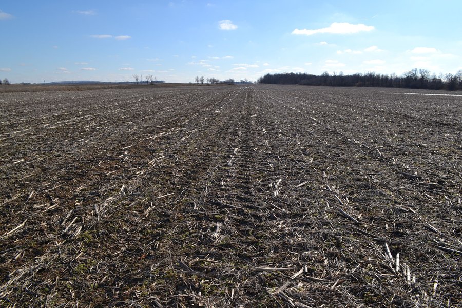 For sale: REAL ESTATE FOR SALE - 392.4+/- ACRES - CROPLAND, WOODS FOR HUNTING/RECREATIONAL, POND & POTENTIAL BUILDING SITES - NEWTON COUNTY - MOROCCO, INDIANA