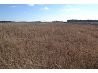 <b>This property offers productive tillable land and a CRP contract on 17.1 acres, with a high rental rate, for conservation and wildlife habitat.</b>  The wooded and grass ridge that crosses part of this property shows signs of heavy deer activity and would also be a beautiful setting for a home or cabin.  This property is in a prime deer location and do not overlook the pond stocked with bass, bluegill and catfish.  There is also a very functional 48ft x 96ft machine shed with a concrete floor and electric.  The sellers will consider divisions of the property.

<i><b>PROPERTY/LISTING DETAILS:</b></I>
<b>Possession Date:</b> At closing subject to farm tenant rights which expire January 1, 2021 
<b>Taxes:</b><i><u> 2019 Real Estate Taxes Payable 2020</u></i> - Property east of Meridian Road (2 tax ID's):  $4,879.74 - Drainage Assessments:  $888.60 - <I><u> 2019 Real Estate Taxes Payable 2020</u></i> - Property west of Meridian Road (1 tax ID):  $4,172.00 - Drainage Assessments:  $859.20
<b>Zoning:</b>  Ag
<b>Other:</b> The sellers will consider divisions of the property.
<i>Note: County tax records show 210.21 acres on the property east of Meridian Road while a 2014 survey shows 211.427 +/- acres.  County tax records show 182.251 acres on the property west of Meridian Road.  Total acres from County Tax records is 392.461.</i>
<b>School District:</b>  North Newton School Corporation    	
<b>Elec. Source:</b>  Newton County REMC
<b><i><u>FSA DATA:</u></b></i>
<b>FSA Cropland:</b>  357.53* acres of which 17.1 acres is in CRP.  <i>*Listing Company estimates approximately 2.5 acres of FSA Cropland not part of property being sold. Contact listing agents for FSA Aerial and other information.</i>
<b>Corn Base Acr.:</b>  182.5,  PLC Yield: 131     
<b>Wheat Base Acr.:</b>  4.2,  PLC Yield:  44    
<b>Soybean Base Acr:</b>  110.0,  PLC Yield:  37	         
<b>Conservation Reserve Program (CRP):</b> 17.1 acres; Annual Rental Rate Per Acre - $339.83;  Contract expires:  September 30, 2025	
<i>Buyer shall assume the existing CRP contract obligations and shall timely sign all documents required by the FSA Office in connection therewith.  Any penalty, repayment and/or interest assessed due to termination, noncompliance and/or owner-ineligibility after closing shall be the responsibility of the Buyer.</i>
<b>Improvements:</b> 48ft X 96ft Pole Building with concrete floor and 220 amp electric service.  23ft 4in wide x 14ft high door, 23ft 4in wide x 12 ft high clearance door & 15ft 3in wide x 12ft high clearance door.
<b>Owners:</b> John and Peggy Luzer - REAL ESTATE FOR SALE - 392.4+/- ACRES - CROPLAND, WOODS FOR HUNTING/RECREATIONAL, POND & POTENTIAL BUILDING SITES