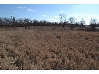 <b>This property offers productive tillable land and a CRP contract on 17.1 acres, with a high rental rate, for conservation and wildlife habitat.</b>  The wooded and grass ridge that crosses part of this property shows signs of heavy deer activity and would also be a beautiful setting for a home or cabin.  This property is in a prime deer location and do not overlook the pond stocked with bass, bluegill and catfish.  There is also a very functional 48ft x 96ft machine shed with a concrete floor and electric.  The sellers will consider divisions of the property.

<i><b>PROPERTY/LISTING DETAILS:</b></I>
<b>Possession Date:</b> At closing subject to farm tenant rights which expire January 1, 2021 
<b>Taxes:</b><i><u> 2019 Real Estate Taxes Payable 2020</u></i> - Property east of Meridian Road (2 tax ID's):  $4,879.74 - Drainage Assessments:  $888.60 - <I><u> 2019 Real Estate Taxes Payable 2020</u></i> - Property west of Meridian Road (1 tax ID):  $4,172.00 - Drainage Assessments:  $859.20
<b>Zoning:</b>  Ag
<b>Other:</b> The sellers will consider divisions of the property.
<i>Note: County tax records show 210.21 acres on the property east of Meridian Road while a 2014 survey shows 211.427 +/- acres.  County tax records show 182.251 acres on the property west of Meridian Road.  Total acres from County Tax records is 392.461.</i>
<b>School District:</b>  North Newton School Corporation    	
<b>Elec. Source:</b>  Newton County REMC
<b><i><u>FSA DATA:</u></b></i>
<b>FSA Cropland:</b>  357.53* acres of which 17.1 acres is in CRP.  <i>*Listing Company estimates approximately 2.5 acres of FSA Cropland not part of property being sold. Contact listing agents for FSA Aerial and other information.</i>
<b>Corn Base Acr.:</b>  182.5,  PLC Yield: 131     
<b>Wheat Base Acr.:</b>  4.2,  PLC Yield:  44    
<b>Soybean Base Acr:</b>  110.0,  PLC Yield:  37	         
<b>Conservation Reserve Program (CRP):</b> 17.1 acres; Annual Rental Rate Per Acre - $339.83;  Contract expires:  September 30, 2025	
<i>Buyer shall assume the existing CRP contract obligations and shall timely sign all documents required by the FSA Office in connection therewith.  Any penalty, repayment and/or interest assessed due to termination, noncompliance and/or owner-ineligibility after closing shall be the responsibility of the Buyer.</i>
<b>Improvements:</b> 48ft X 96ft Pole Building with concrete floor and 220 amp electric service.  23ft 4in wide x 14ft high door, 23ft 4in wide x 12 ft high clearance door & 15ft 3in wide x 12ft high clearance door.
<b>Owners:</b> John and Peggy Luzer - REAL ESTATE FOR SALE - 392.4+/- ACRES - CROPLAND, WOODS FOR HUNTING/RECREATIONAL, POND & POTENTIAL BUILDING SITES
