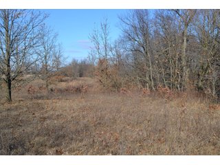<b>This property offers productive tillable land and a CRP contract on 17.1 acres, with a high rental rate, for conservation and wildlife habitat.</b>  The wooded and grass ridge that crosses part of this property shows signs of heavy deer activity and would also be a beautiful setting for a home or cabin.  This property is in a prime deer location and do not overlook the pond stocked with bass, bluegill and catfish.  There is also a very functional 48ft x 96ft machine shed with a concrete floor and electric.  The sellers will consider divisions of the property.

<i><b>PROPERTY/LISTING DETAILS:</b></I>
<b>Possession Date:</b> At closing subject to farm tenant rights which expire January 1, 2021 
<b>Taxes:</b><i><u> 2019 Real Estate Taxes Payable 2020</u></i> - Property east of Meridian Road (2 tax ID's):  $4,879.74 - Drainage Assessments:  $888.60 - <I><u> 2019 Real Estate Taxes Payable 2020</u></i> - Property west of Meridian Road (1 tax ID):  $4,172.00 - Drainage Assessments:  $859.20
<b>Zoning:</b>  Ag
<b>Other:</b> The sellers will consider divisions of the property.
<i>Note: County tax records show 210.21 acres on the property east of Meridian Road while a 2014 survey shows 211.427 +/- acres.  County tax records show 182.251 acres on the property west of Meridian Road.  Total acres from County Tax records is 392.461.</i>
<b>School District:</b>  North Newton School Corporation    	
<b>Elec. Source:</b>  Newton County REMC
<b><i><u>FSA DATA:</u></b></i>
<b>FSA Cropland:</b>  357.53* acres of which 17.1 acres is in CRP.  <i>*Listing Company estimates approximately 2.5 acres of FSA Cropland not part of property being sold. Contact listing agents for FSA Aerial and other information.</i>
<b>Corn Base Acr.:</b>  182.5,  PLC Yield: 131     
<b>Wheat Base Acr.:</b>  4.2,  PLC Yield:  44    
<b>Soybean Base Acr:</b>  110.0,  PLC Yield:  37	         
<b>Conservation Reserve Program (CRP):</b> 17.1 acres; Annual Rental Rate Per Acre - $339.83;  Contract expires:  September 30, 2025	
<i>Buyer shall assume the existing CRP contract obligations and shall timely sign all documents required by the FSA Office in connection therewith.  Any penalty, repayment and/or interest assessed due to termination, noncompliance and/or owner-ineligibility after closing shall be the responsibility of the Buyer.</i>
<b>Improvements:</b> 48ft X 96ft Pole Building with concrete floor and 220 amp electric service.  23ft 4in wide x 14ft high door, 23ft 4in wide x 12 ft high clearance door & 15ft 3in wide x 12ft high clearance door.
<b>Owners:</b> John and Peggy Luzer - REAL ESTATE FOR SALE - 392.4+/- ACRES - CROPLAND, WOODS FOR HUNTING/RECREATIONAL, POND & POTENTIAL BUILDING SITES
