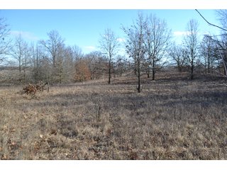 <b>This property offers productive tillable land and a CRP contract on 17.1 acres, with a high rental rate, for conservation and wildlife habitat.</b>  The wooded and grass ridge that crosses part of this property shows signs of heavy deer activity and would also be a beautiful setting for a home or cabin.  This property is in a prime deer location and do not overlook the pond stocked with bass, bluegill and catfish.  There is also a very functional 48ft x 96ft machine shed with a concrete floor and electric.  The sellers will consider divisions of the property.

<i><b>PROPERTY/LISTING DETAILS:</b></I>
<b>Possession Date:</b> At closing subject to farm tenant rights which expire January 1, 2021 
<b>Taxes:</b><i><u> 2019 Real Estate Taxes Payable 2020</u></i> - Property east of Meridian Road (2 tax ID's):  $4,879.74 - Drainage Assessments:  $888.60 - <I><u> 2019 Real Estate Taxes Payable 2020</u></i> - Property west of Meridian Road (1 tax ID):  $4,172.00 - Drainage Assessments:  $859.20
<b>Zoning:</b>  Ag
<b>Other:</b> The sellers will consider divisions of the property.
<i>Note: County tax records show 210.21 acres on the property east of Meridian Road while a 2014 survey shows 211.427 +/- acres.  County tax records show 182.251 acres on the property west of Meridian Road.  Total acres from County Tax records is 392.461.</i>
<b>School District:</b>  North Newton School Corporation    	
<b>Elec. Source:</b>  Newton County REMC
<b><i><u>FSA DATA:</u></b></i>
<b>FSA Cropland:</b>  357.53* acres of which 17.1 acres is in CRP.  <i>*Listing Company estimates approximately 2.5 acres of FSA Cropland not part of property being sold. Contact listing agents for FSA Aerial and other information.</i>
<b>Corn Base Acr.:</b>  182.5,  PLC Yield: 131     
<b>Wheat Base Acr.:</b>  4.2,  PLC Yield:  44    
<b>Soybean Base Acr:</b>  110.0,  PLC Yield:  37	         
<b>Conservation Reserve Program (CRP):</b> 17.1 acres; Annual Rental Rate Per Acre - $339.83;  Contract expires:  September 30, 2025	
<i>Buyer shall assume the existing CRP contract obligations and shall timely sign all documents required by the FSA Office in connection therewith.  Any penalty, repayment and/or interest assessed due to termination, noncompliance and/or owner-ineligibility after closing shall be the responsibility of the Buyer.</i>
<b>Improvements:</b> 48ft X 96ft Pole Building with concrete floor and 220 amp electric service.  23ft 4in wide x 14ft high door, 23ft 4in wide x 12 ft high clearance door & 15ft 3in wide x 12ft high clearance door.
<b>Owners:</b> John and Peggy Luzer - REAL ESTATE FOR SALE - 392.4+/- ACRES - CROPLAND, WOODS FOR HUNTING/RECREATIONAL, POND & POTENTIAL BUILDING SITES